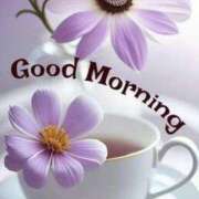 ヒメ日記 2025/06/04 11:50 投稿 浜崎妃葉莉 五十路マダムエクスプレス船橋店(カサブランカグループ)