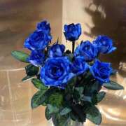 ヒメ日記 2025/06/05 11:48 投稿 浜崎妃葉莉 五十路マダムエクスプレス船橋店(カサブランカグループ)