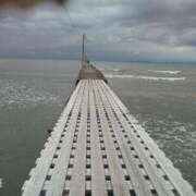 ヒメ日記 2025/06/17 11:50 投稿 浜崎妃葉莉 五十路マダムエクスプレス船橋店(カサブランカグループ)