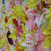 ヒメ日記 2025/06/30 11:50 投稿 浜崎妃葉莉 五十路マダムエクスプレス船橋店(カサブランカグループ)