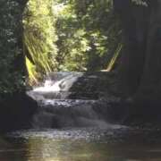 ヒメ日記 2025/07/08 12:28 投稿 浜崎妃葉莉 五十路マダムエクスプレス船橋店(カサブランカグループ)