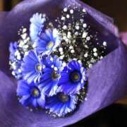 ヒメ日記 2025/07/23 12:26 投稿 浜崎妃葉莉 五十路マダムエクスプレス船橋店(カサブランカグループ)