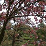 ヒメ日記 2025/08/20 20:40 投稿 浜崎妃葉莉 五十路マダムエクスプレス船橋店(カサブランカグループ)