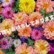 ヒメ日記 2025/09/02 20:28 投稿 浜崎妃葉莉 五十路マダムエクスプレス船橋店(カサブランカグループ)