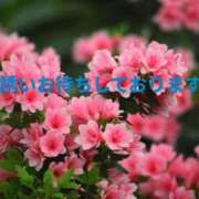 浜崎妃葉莉 出勤しました 五十路マダムエクスプレス船橋店(カサブランカグループ)