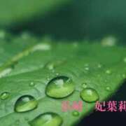 ヒメ日記 2026/06/26 23:00 投稿 浜崎妃葉莉 五十路マダムエクスプレス船橋店(カサブランカグループ)