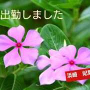 ヒメ日記 2026/07/01 12:04 投稿 浜崎妃葉莉 五十路マダムエクスプレス船橋店(カサブランカグループ)