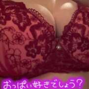 ヒメ日記 2025/08/23 09:05 投稿 ゆめの ダック京都