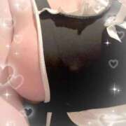 ヒメ日記 2025/10/25 17:20 投稿 ゆめの ダック京都