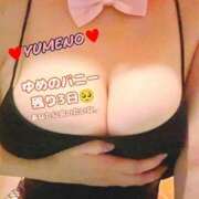 ヒメ日記 2025/11/26 07:21 投稿 ゆめの ダック京都