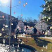 ヒメ日記 2024/12/25 02:49 投稿 かりん 品川ミセスアロマ（ユメオト）