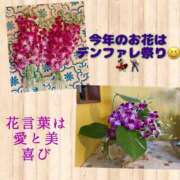 ヒメ日記 2025/01/03 23:39 投稿 かりん 品川ミセスアロマ（ユメオト）