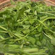 ヒメ日記 2025/04/11 21:46 投稿 かりん 品川ミセスアロマ（ユメオト）