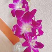 ヒメ日記 2025/10/11 19:51 投稿 かりん 品川ミセスアロマ（ユメオト）