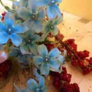 ヒメ日記 2025/11/05 17:15 投稿 かりん 品川ミセスアロマ（ユメオト）