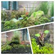 ヒメ日記 2025/11/09 15:39 投稿 かりん 品川ミセスアロマ（ユメオト）