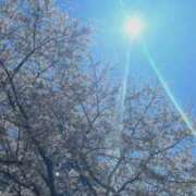 ヒメ日記 2026/04/08 21:58 投稿 かりん 品川ミセスアロマ（ユメオト）