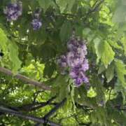 ヒメ日記 2026/04/28 21:49 投稿 かりん 品川ミセスアロマ（ユメオト）