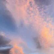 ヒメ日記 2025/08/16 10:44 投稿 さら 角海老宮殿