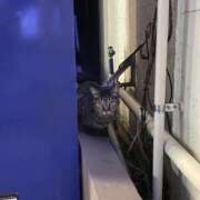 ヒメ日記 2025/10/15 19:42 投稿 さら 角海老宮殿