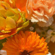 ヒメ日記 2026/03/03 12:00 投稿 さら 角海老宮殿