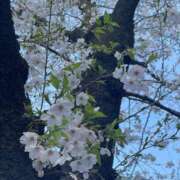 さら お知らせです📣 角海老宮殿