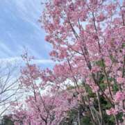 さら 超久々だよ〜🎶 角海老宮殿