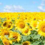 ヒメ日記 2025/07/18 22:33 投稿 奏 リア プルプルハウス