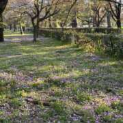 ヒメ日記 2026/04/05 18:15 投稿 奏 リア プルプルハウス