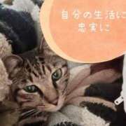 ヒメ日記 2025/02/19 07:16 投稿 しの 鹿児島ちゃんこ 薩摩川内店