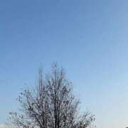 ヒメ日記 2025/12/03 20:35 投稿 なお チェックイン横浜女学園