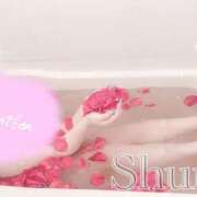 ヒメ日記 2026/04/05 19:20 投稿 しゅり ドMな奥様 京都店