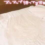 しゅり 🐳スプラッシュ🐳 ドMな奥様 京都店