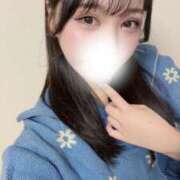 ヒメ日記 2025/11/11 14:47 投稿 白兎ふみ 五反田ウルトラファンタジー