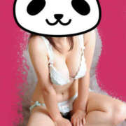 ヒメ日記 2025/05/17 08:47 投稿 ひなた DANKAN（ダンカン）