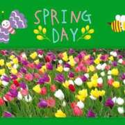 ヒメ日記 2025/04/18 11:31 投稿 みさ ちゃんこ長野塩尻北IC店