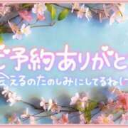 ヒメ日記 2025/04/18 16:08 投稿 みさ ちゃんこ長野塩尻北IC店