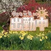 ヒメ日記 2025/04/28 11:41 投稿 みさ ちゃんこ長野塩尻北IC店