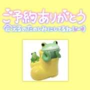 ヒメ日記 2025/06/22 15:06 投稿 みさ ちゃんこ長野塩尻北IC店