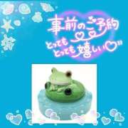 ヒメ日記 2025/08/01 22:51 投稿 みさ ちゃんこ長野塩尻北IC店