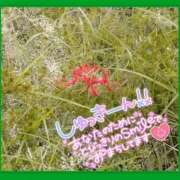 ヒメ日記 2025/09/23 11:51 投稿 みさ ちゃんこ長野塩尻北IC店