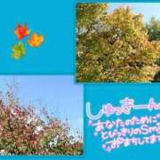 ヒメ日記 2025/10/02 11:51 投稿 みさ ちゃんこ長野塩尻北IC店