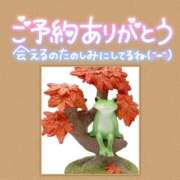 ヒメ日記 2025/11/03 12:01 投稿 みさ ちゃんこ長野塩尻北IC店