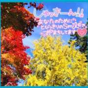 ヒメ日記 2025/11/06 12:06 投稿 みさ ちゃんこ長野塩尻北IC店