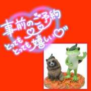 ヒメ日記 2025/11/17 21:01 投稿 みさ ちゃんこ長野塩尻北IC店