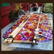 ヒメ日記 2026/01/06 17:21 投稿 みさ ちゃんこ長野塩尻北IC店