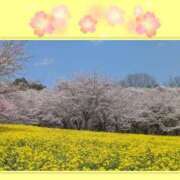 ヒメ日記 2026/04/03 21:51 投稿 みさ ちゃんこ長野塩尻北IC店