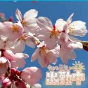 ヒメ日記 2026/04/05 11:31 投稿 みさ ちゃんこ長野塩尻北IC店