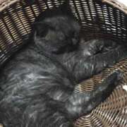 ヒメ日記 2025/08/08 15:21 投稿 りん 吉原アクアパレス