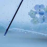 ヒメ日記 2025/08/10 13:07 投稿 りん 吉原アクアパレス